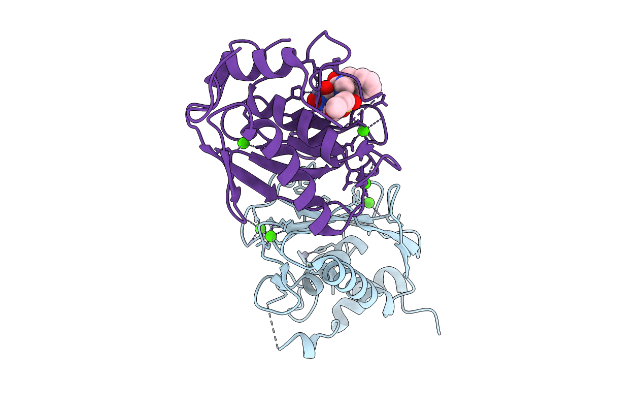 1G05 image
