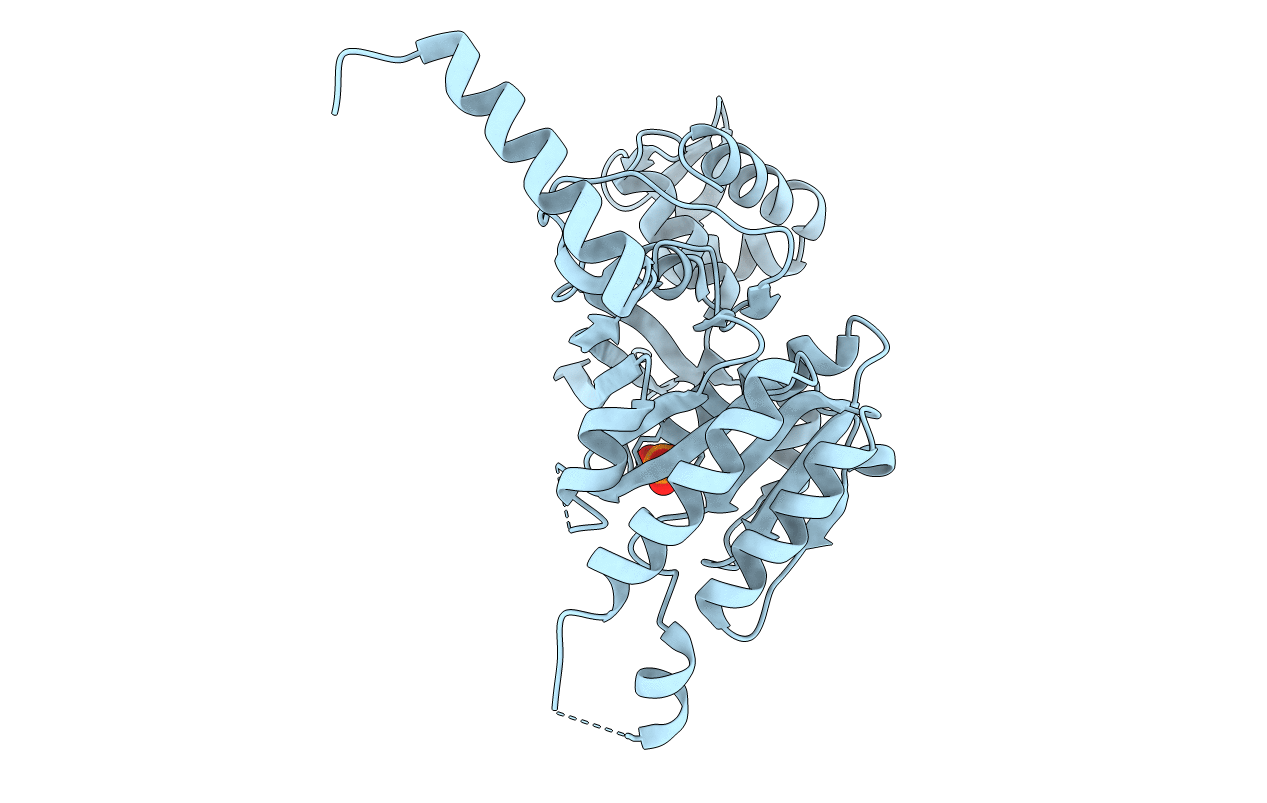 1G19 image