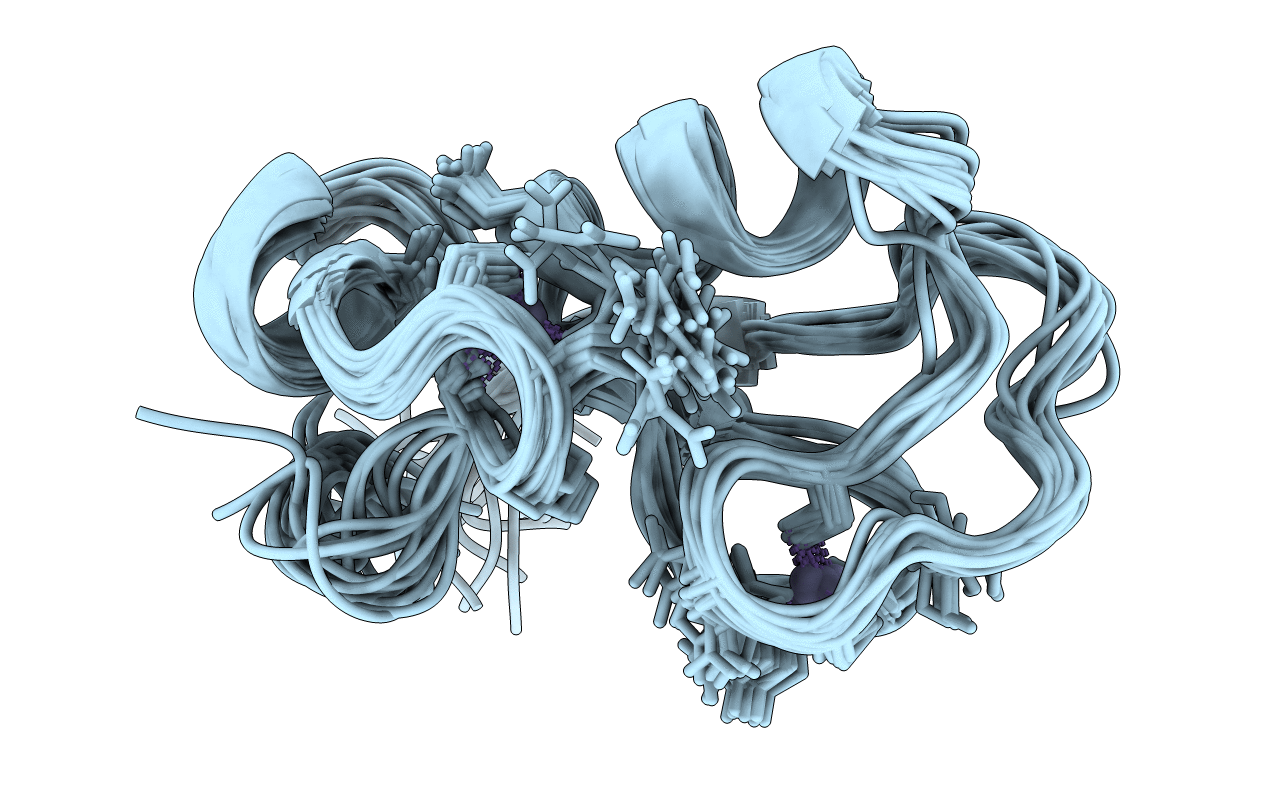 1G25 image
