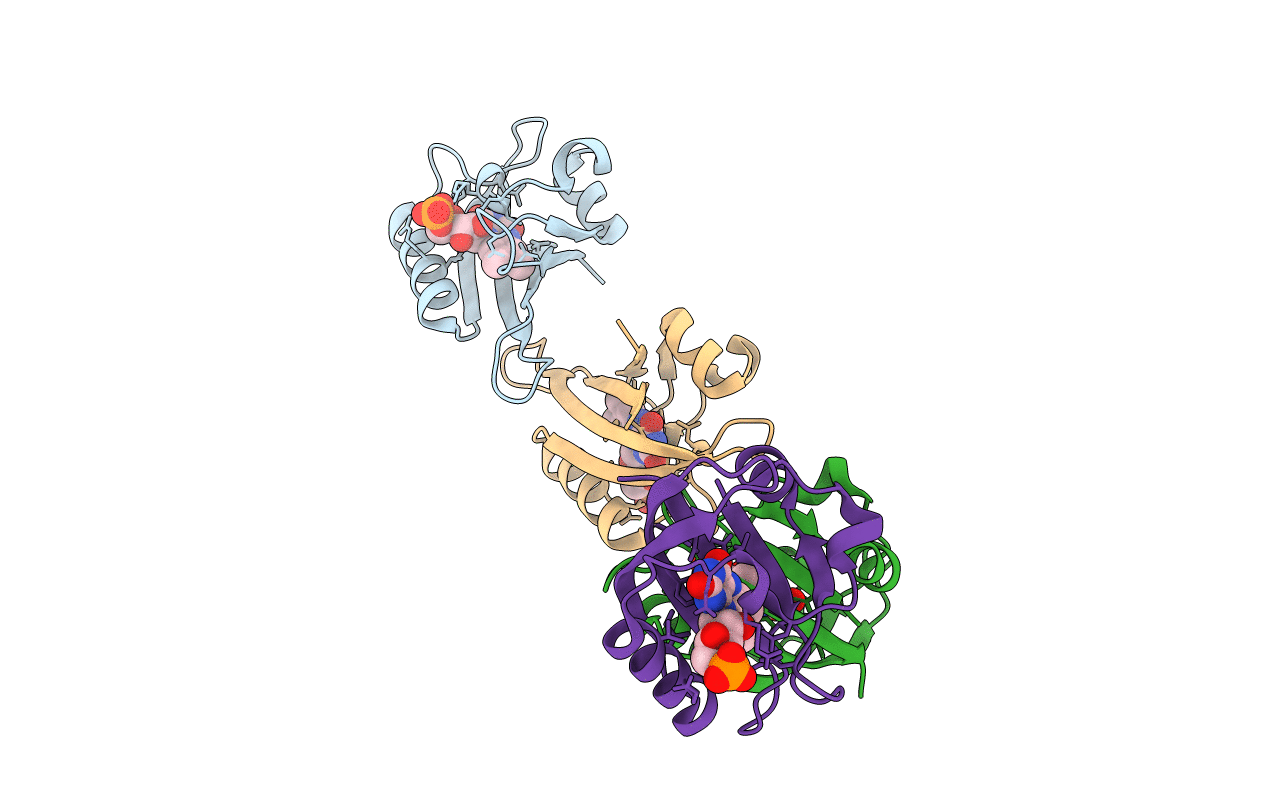 1G28 image