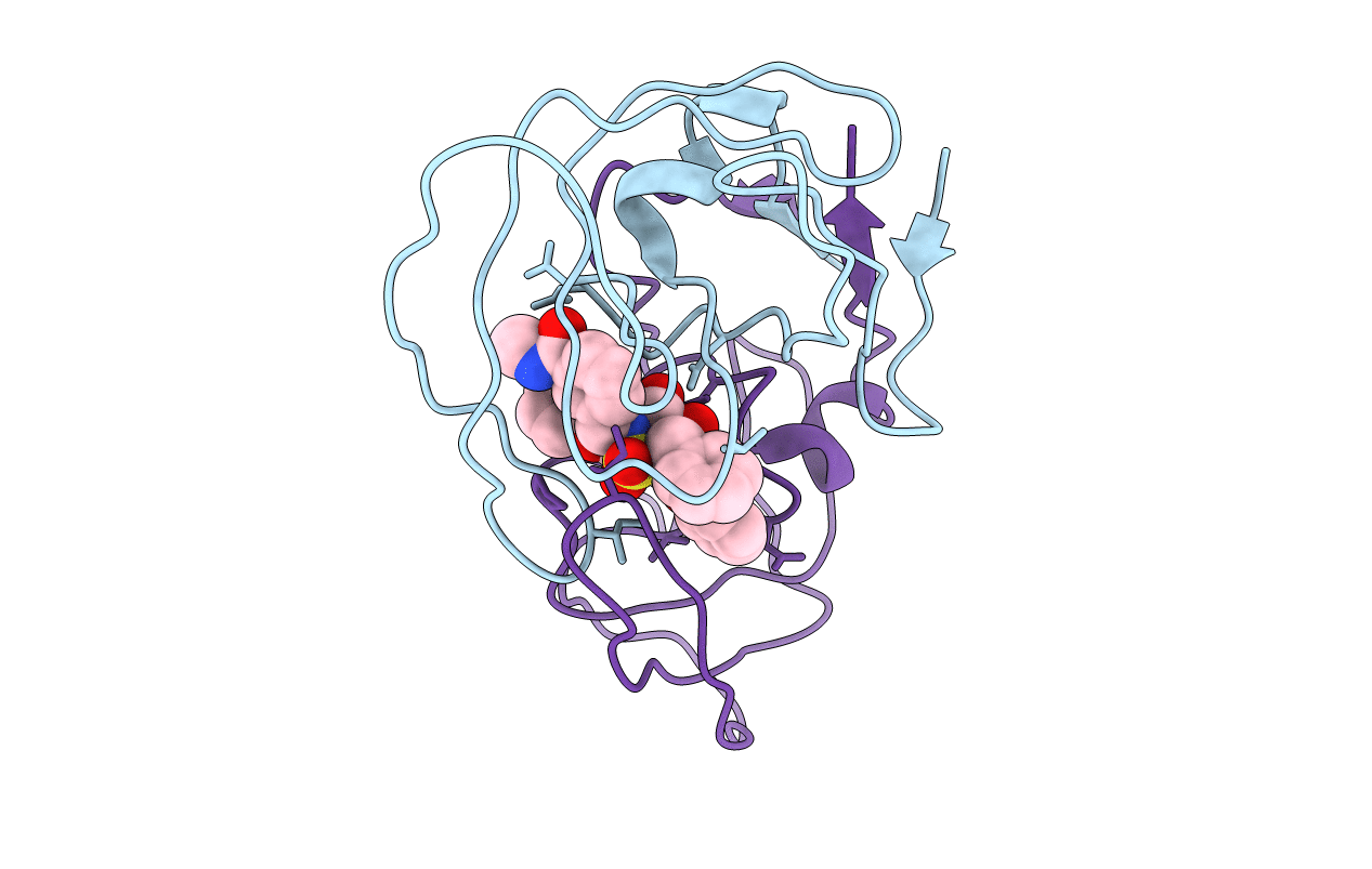 1G2K image