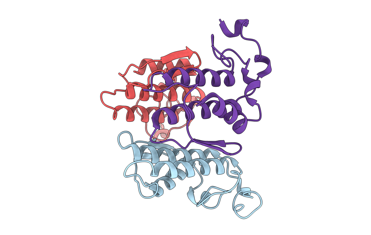1G2X image