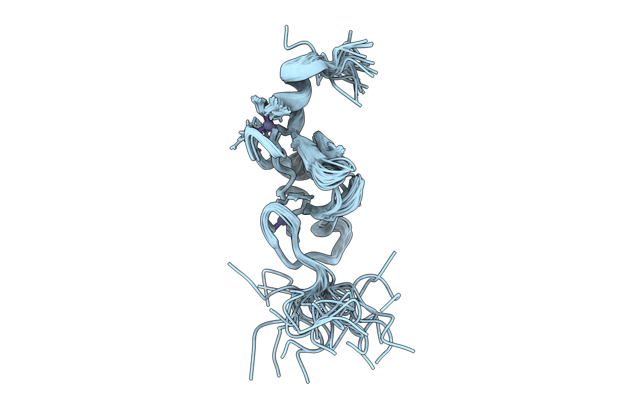 1G47 image