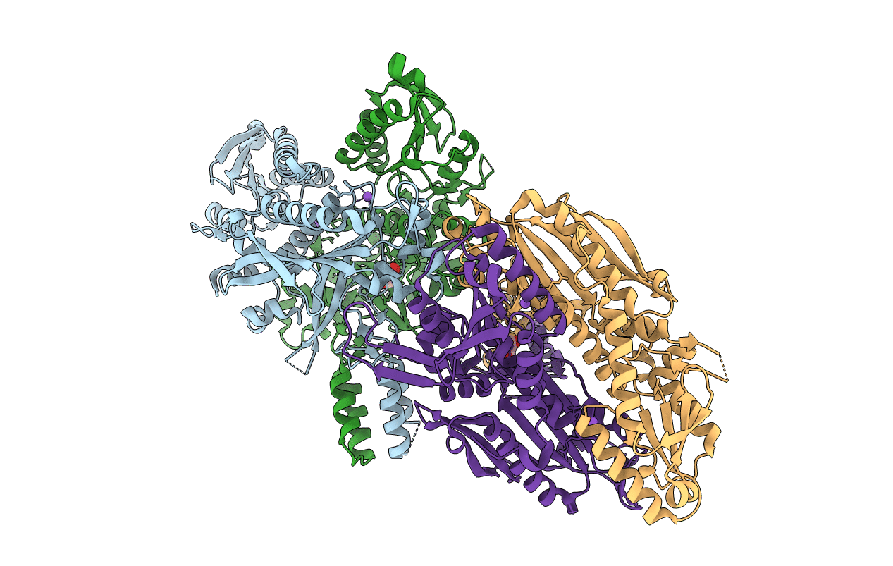 1G5H image