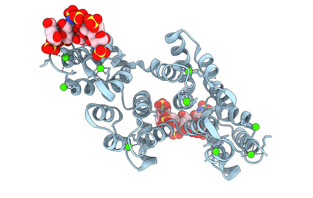 1G5N image
