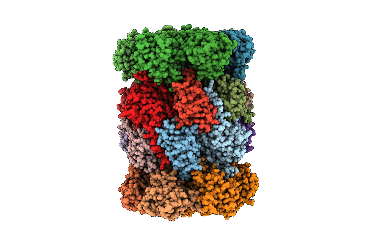 1G65 image