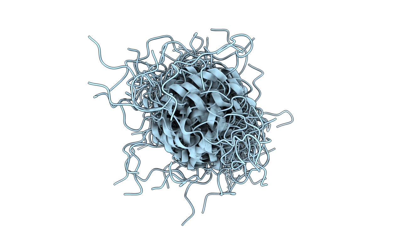 1G91 image