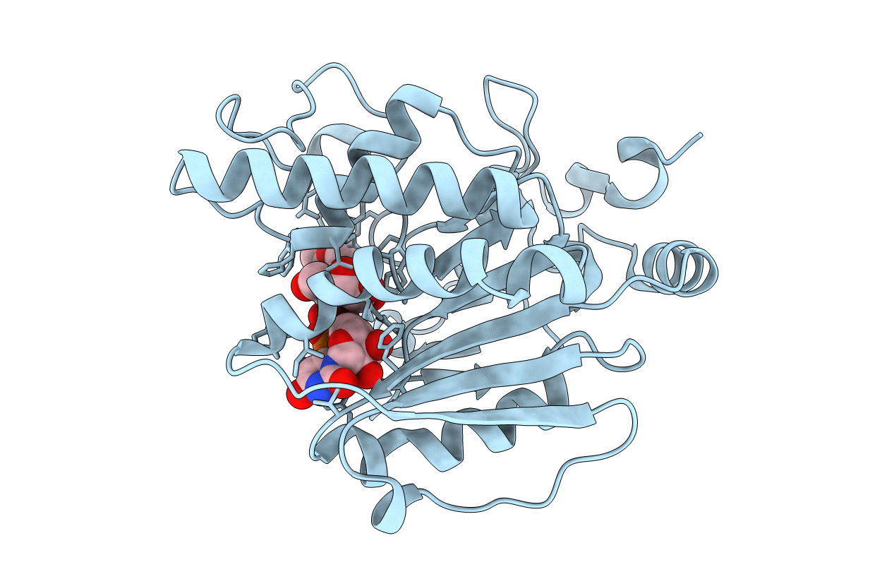 1G93 image