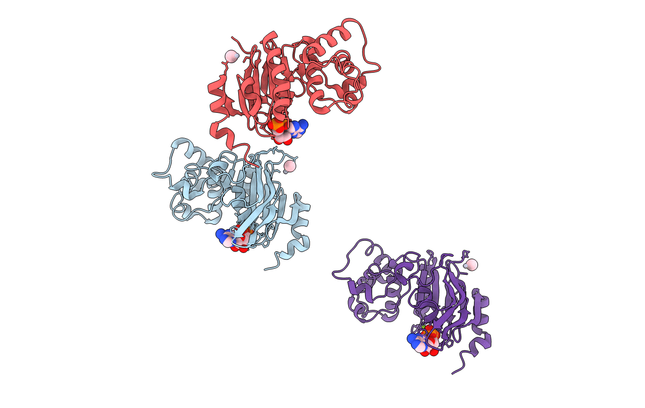 1G9X image