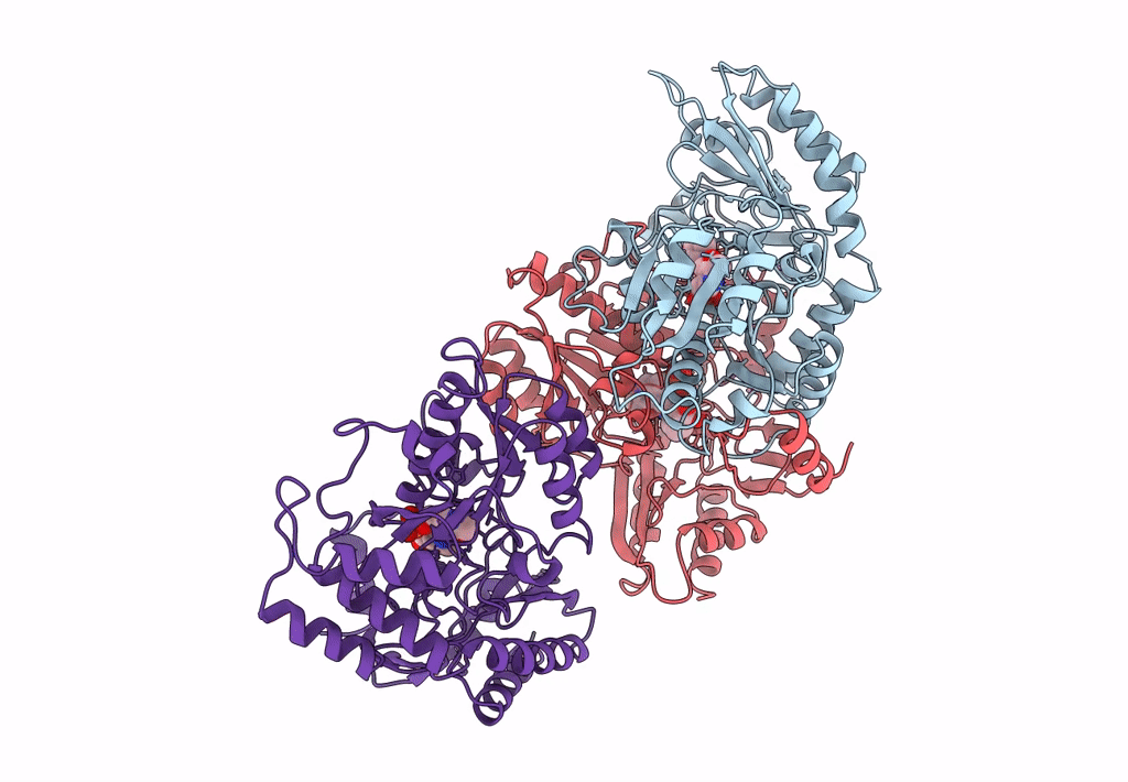 1GBN image