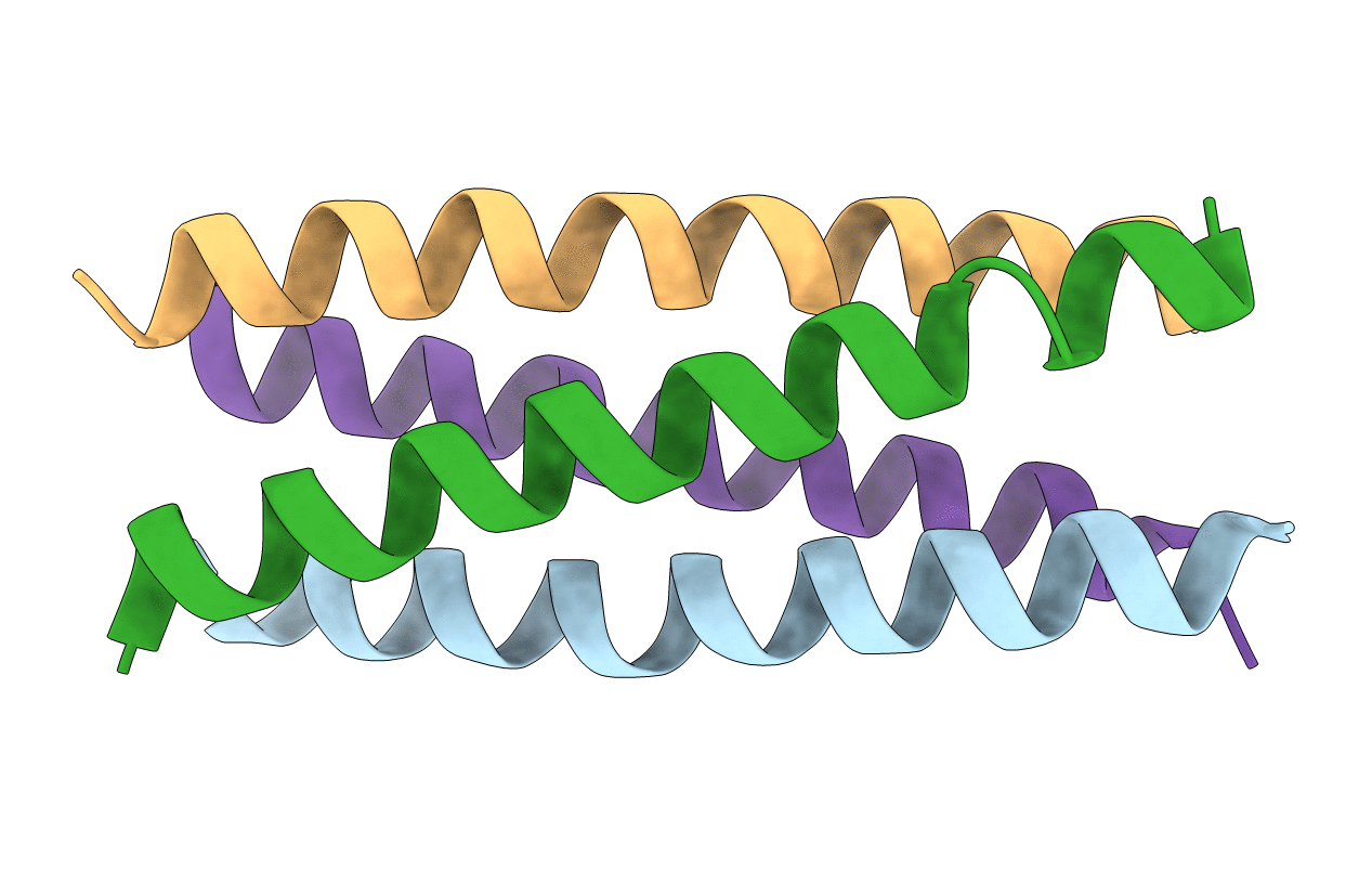 1GCL image