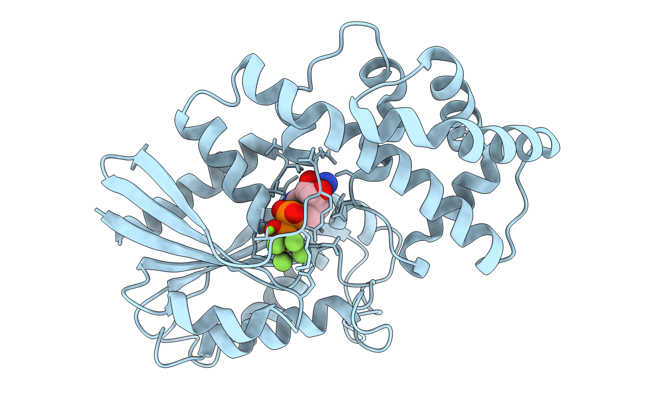 1GFI image