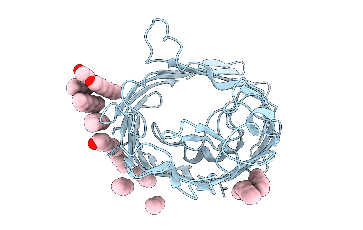 1GFM image