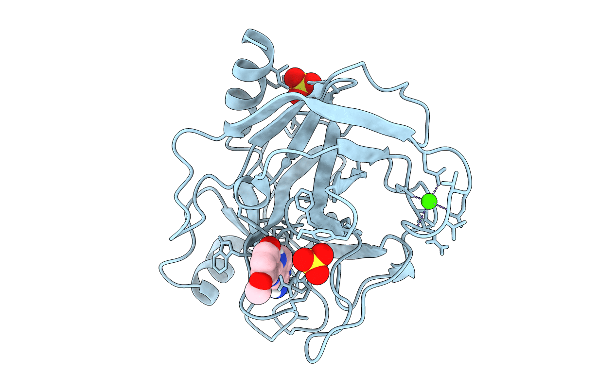 1GI5 image