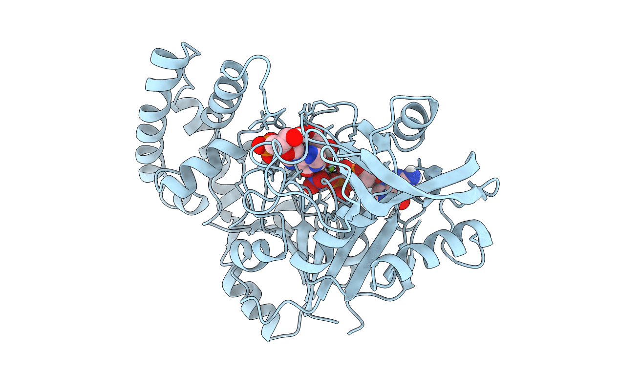 1GIM image