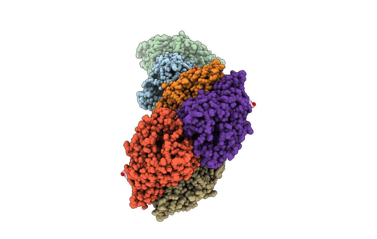 1GKP image