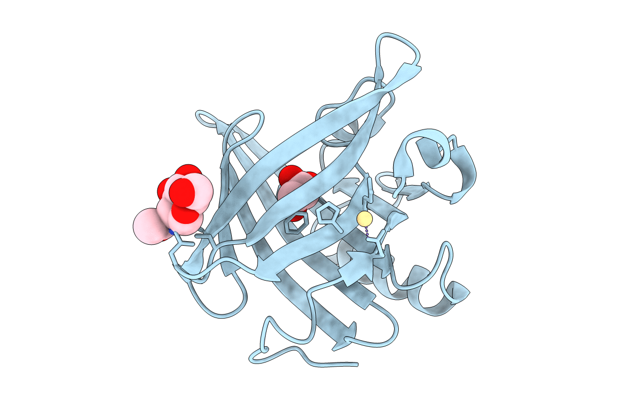 1GM6 image
