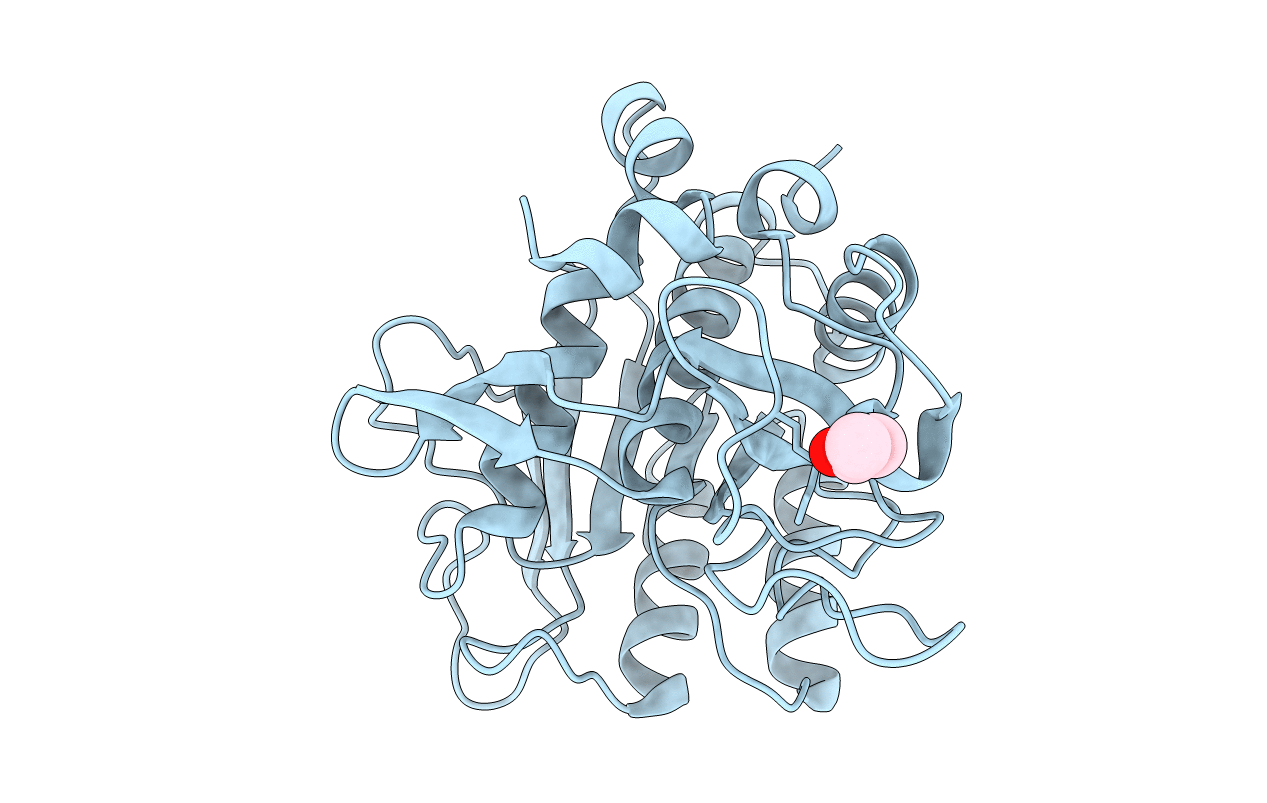 1GNS image