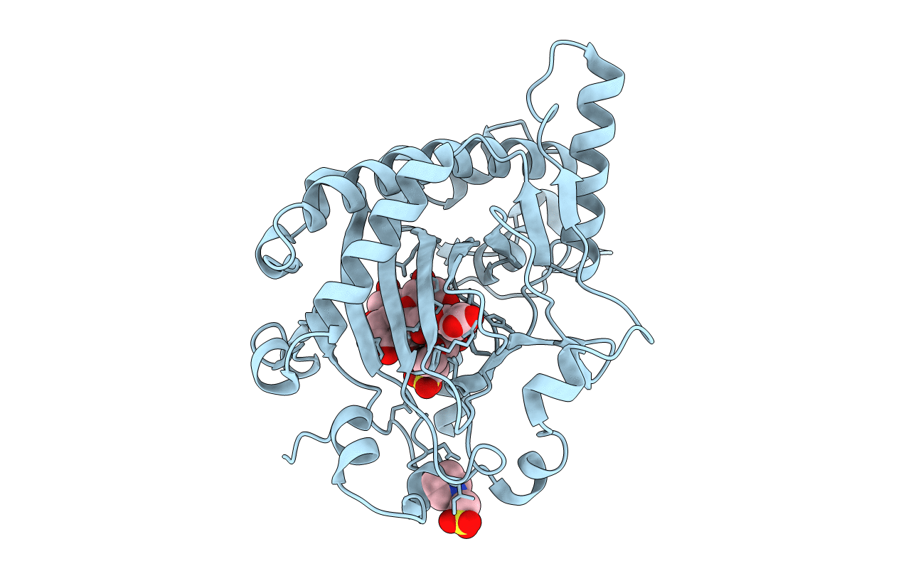 1GP5 image