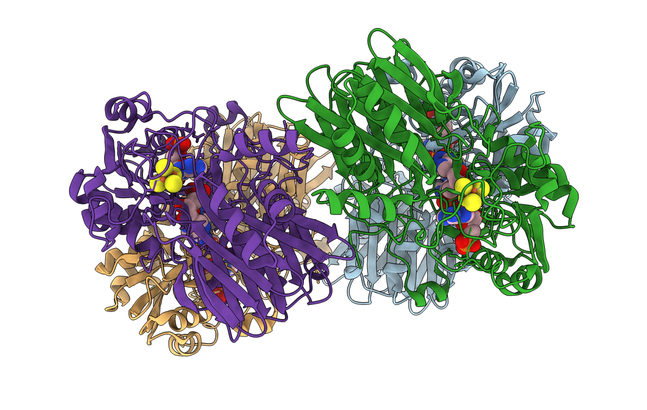 1GPH image