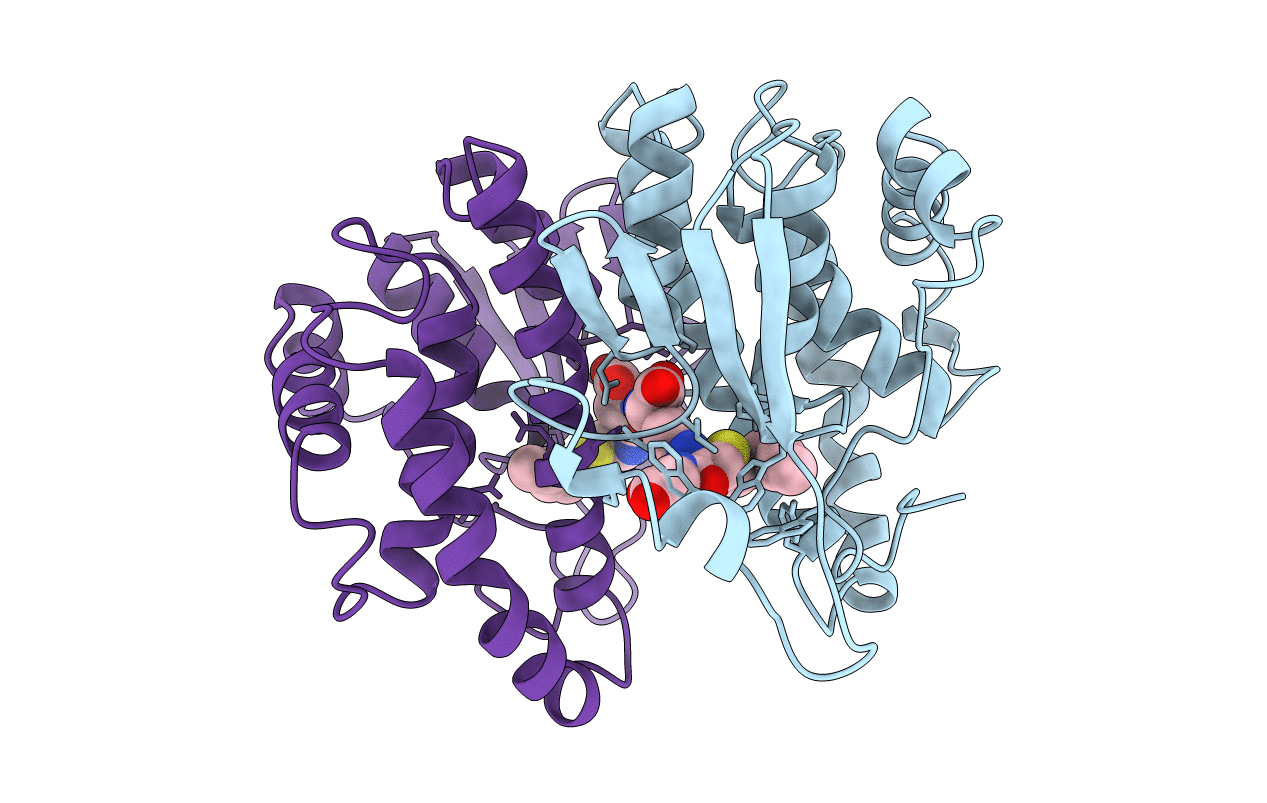 1GSU image