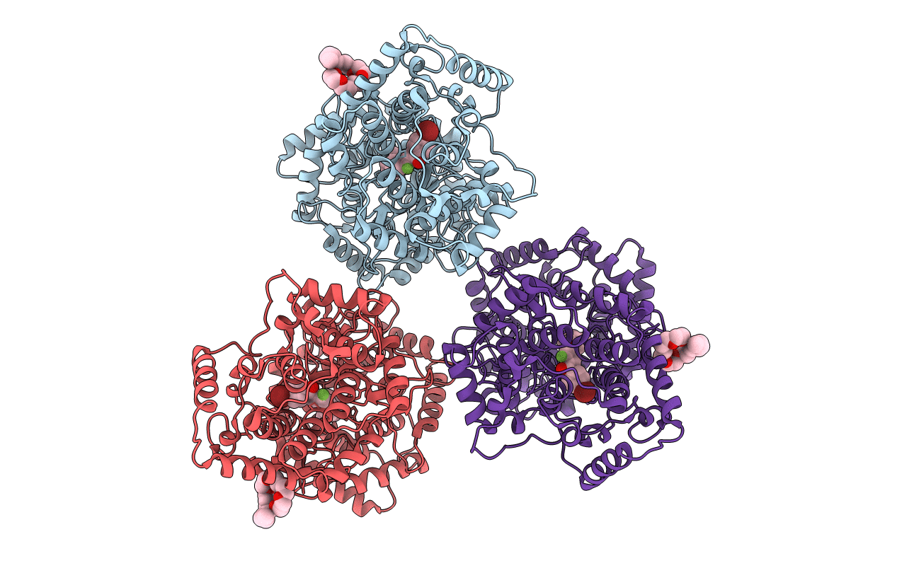 1GSZ image