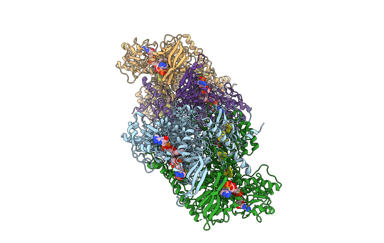 1GTH image