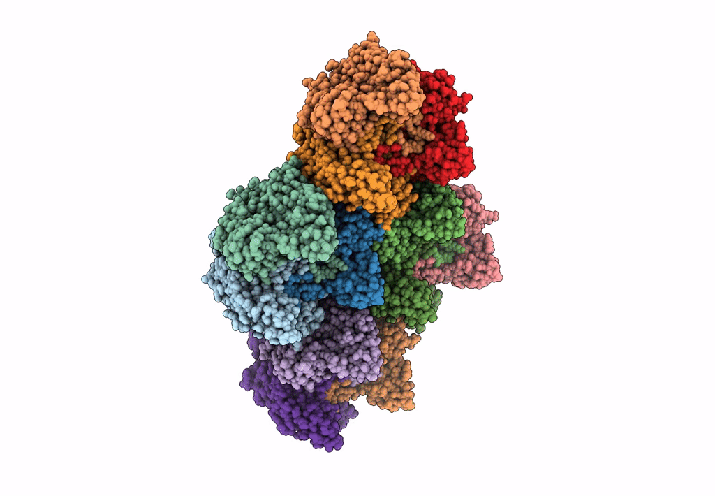 1GW8 image