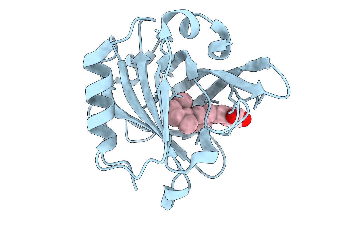 1GX9 image