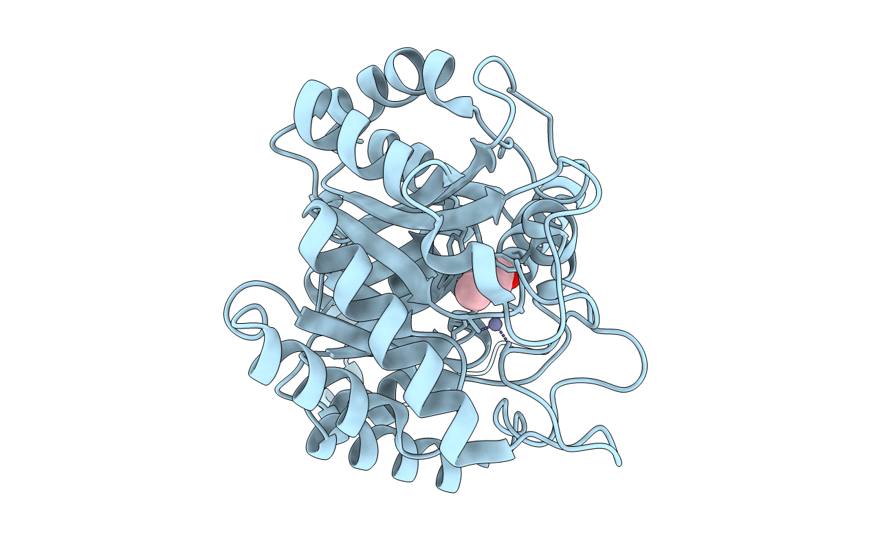 1H7N image