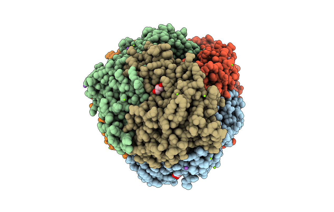 1HBN image