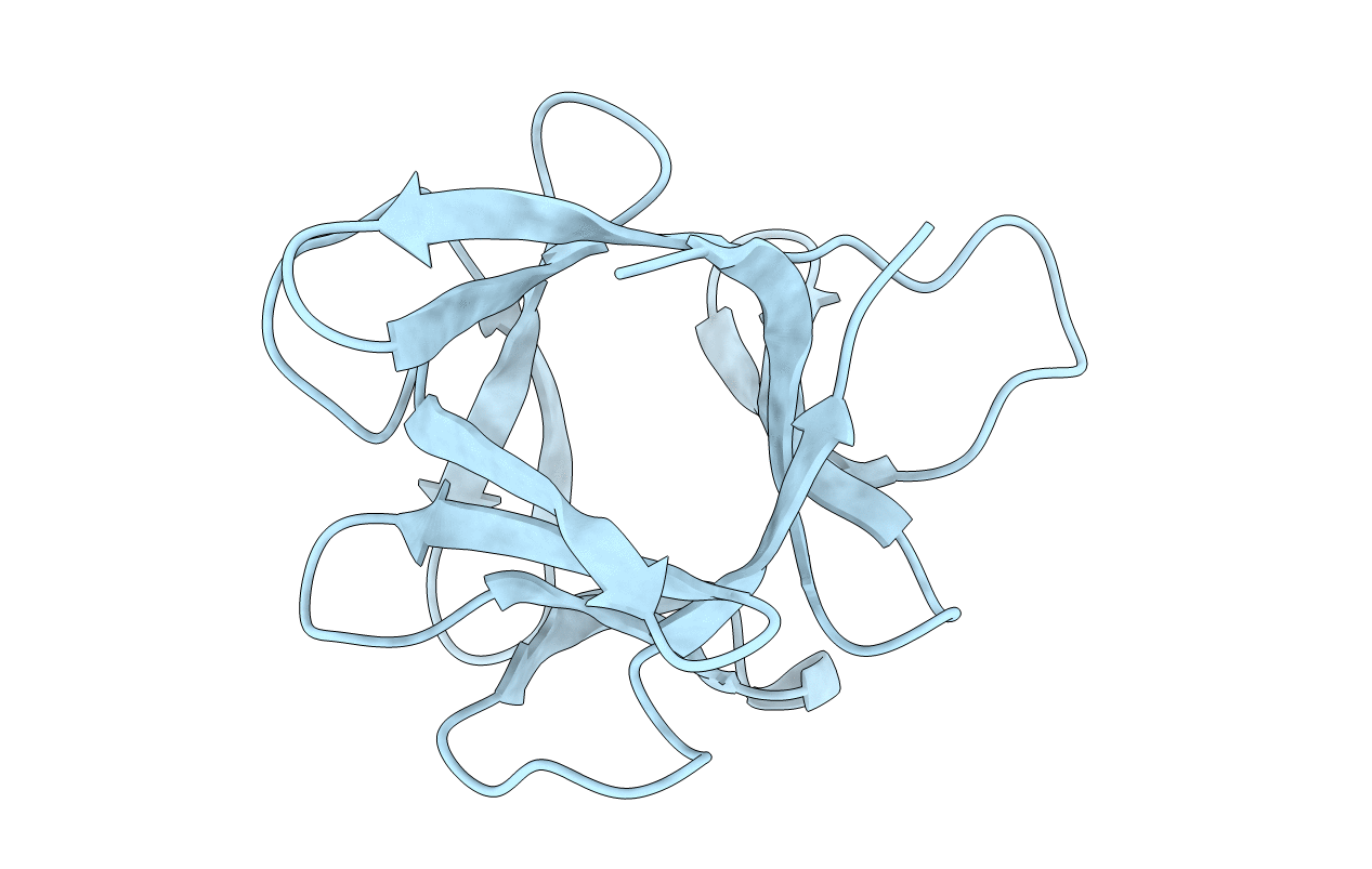 1HCD image