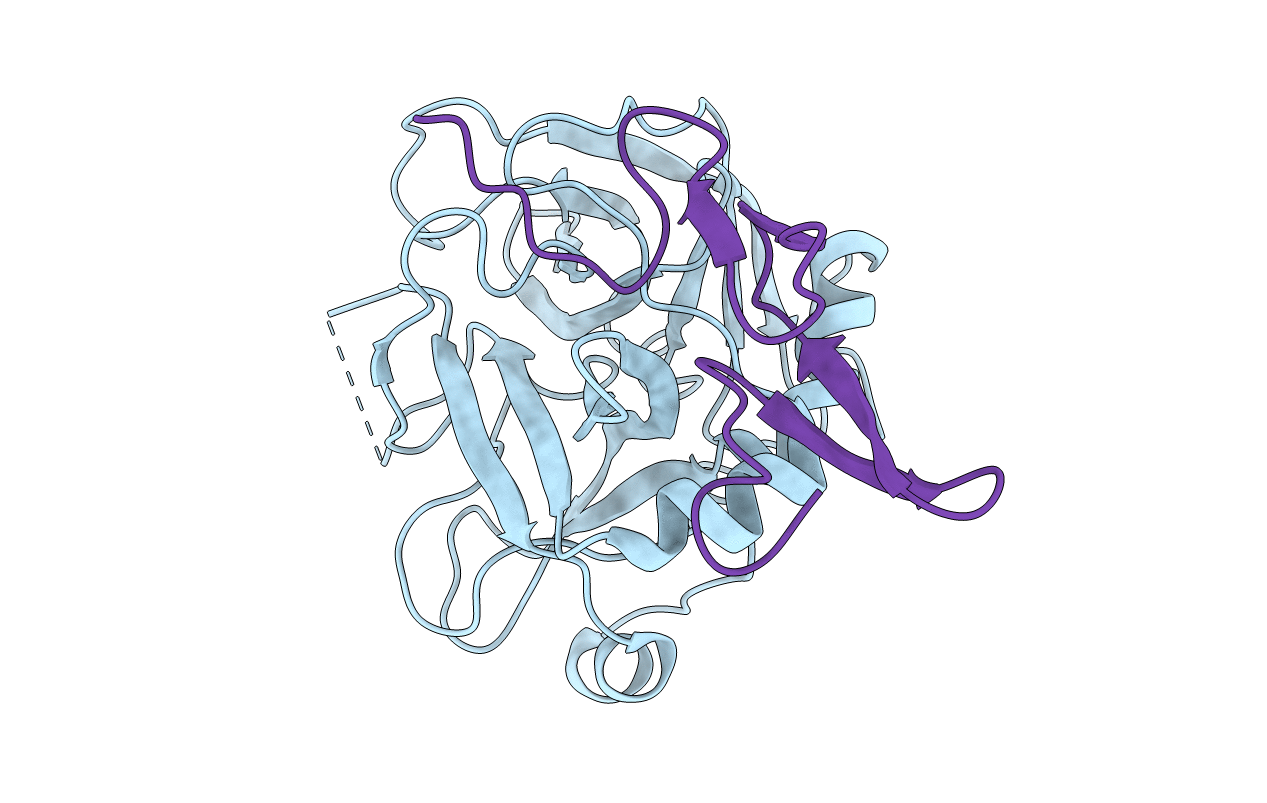 1HCG image