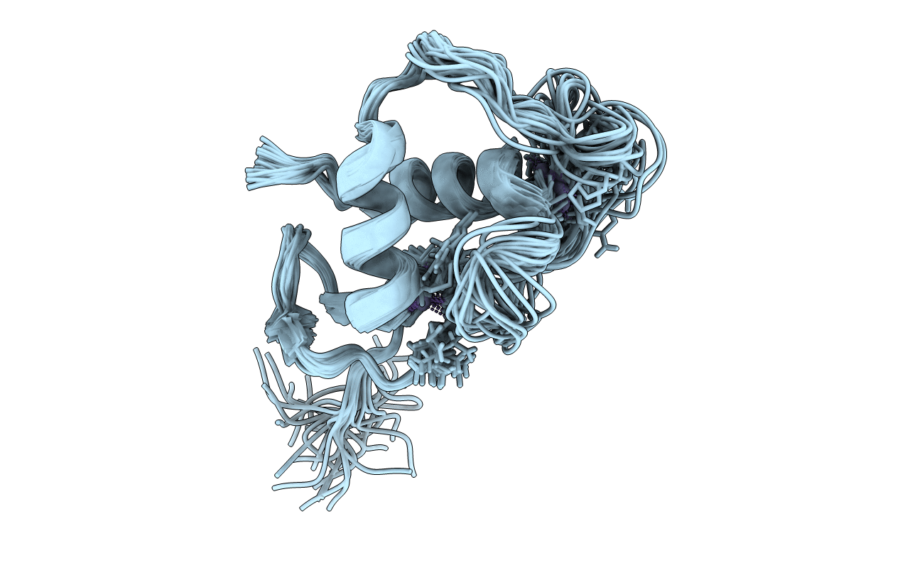 1HCP image
