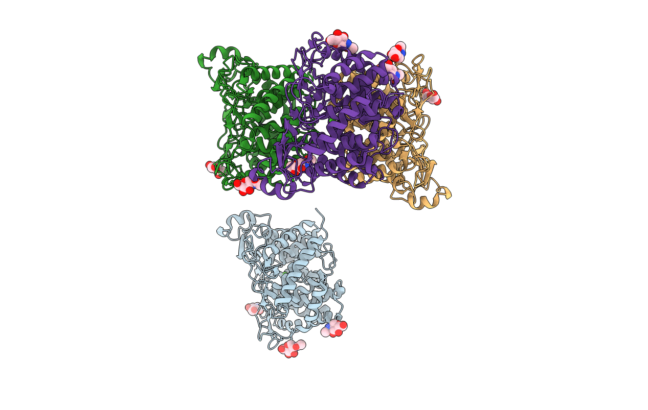 1HCU image