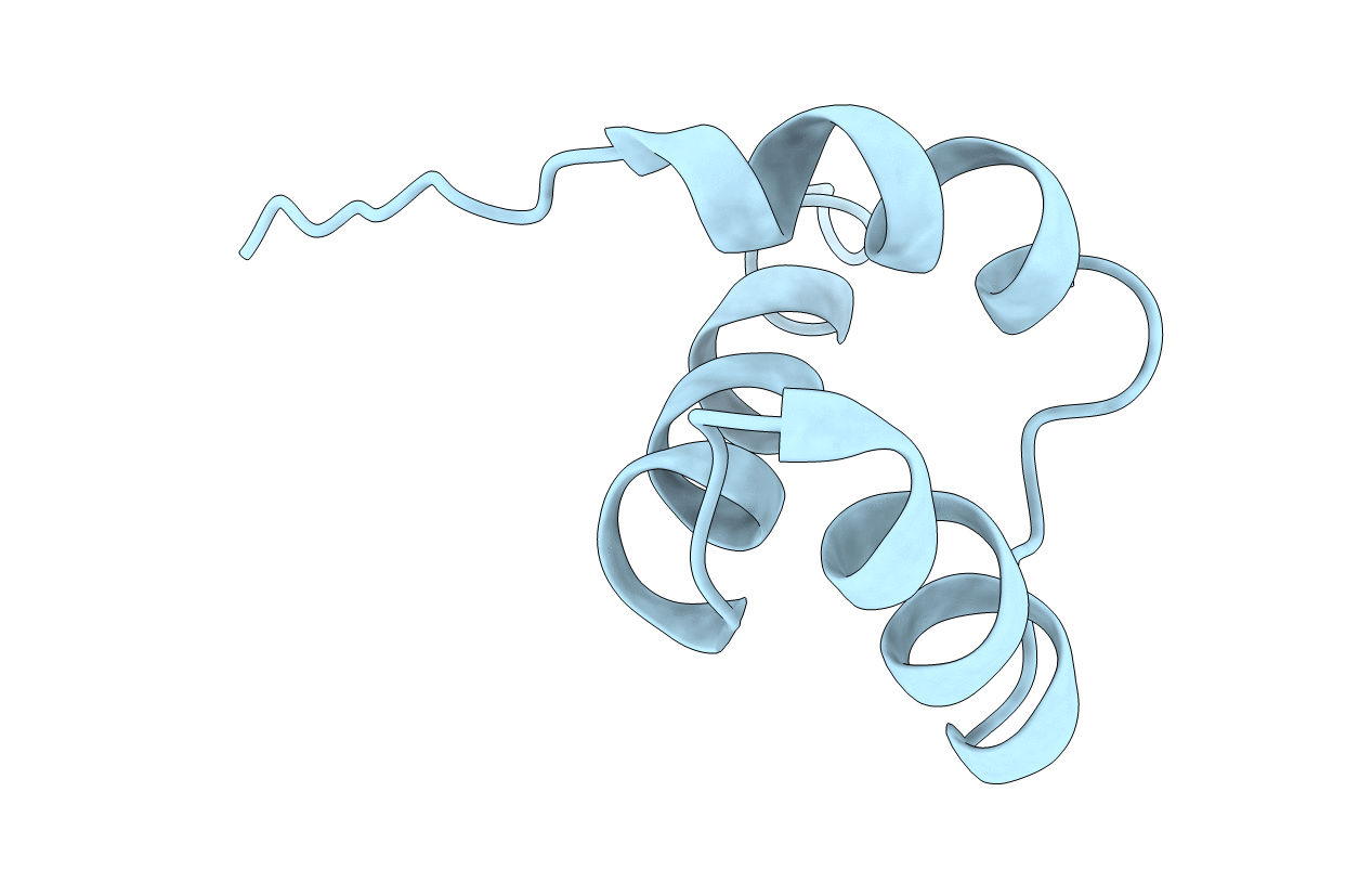 1HDP image