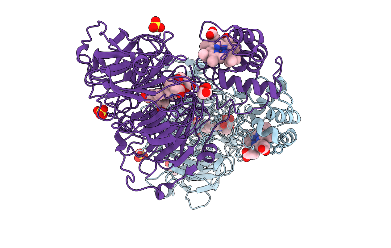 1HJ3 image