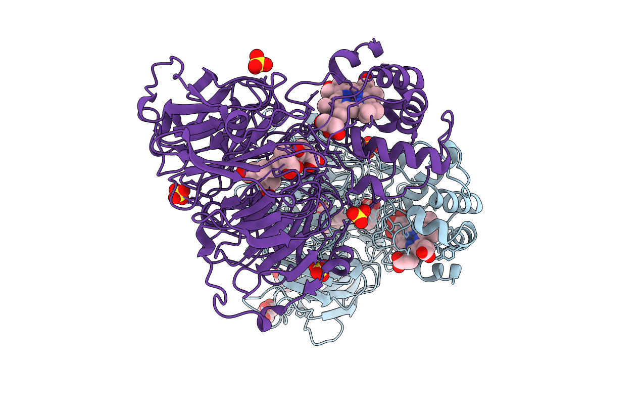 1HJ5 image