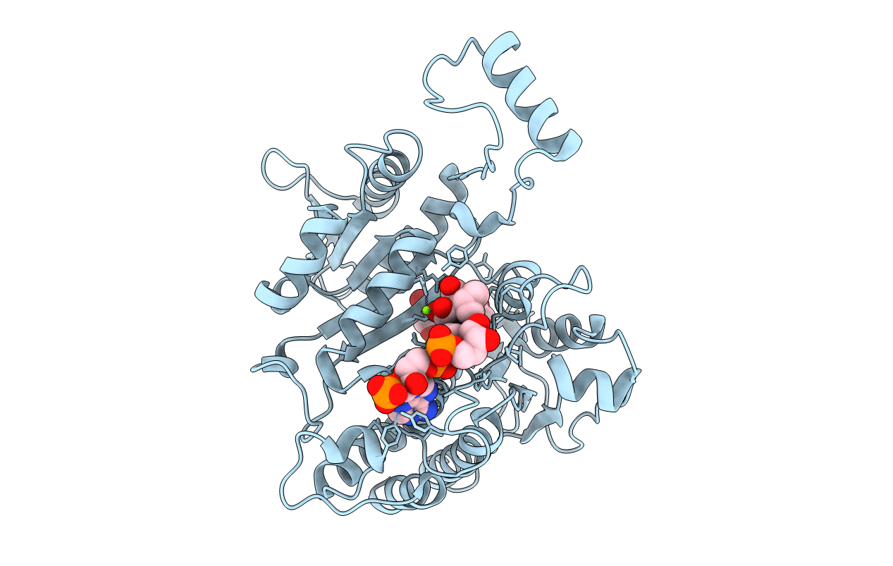 1HJ6 image
