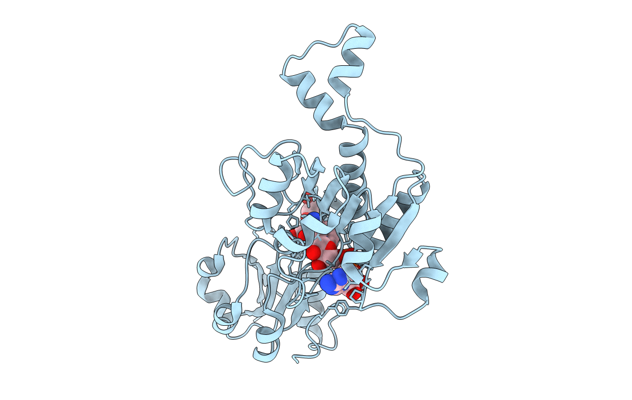 1hku image