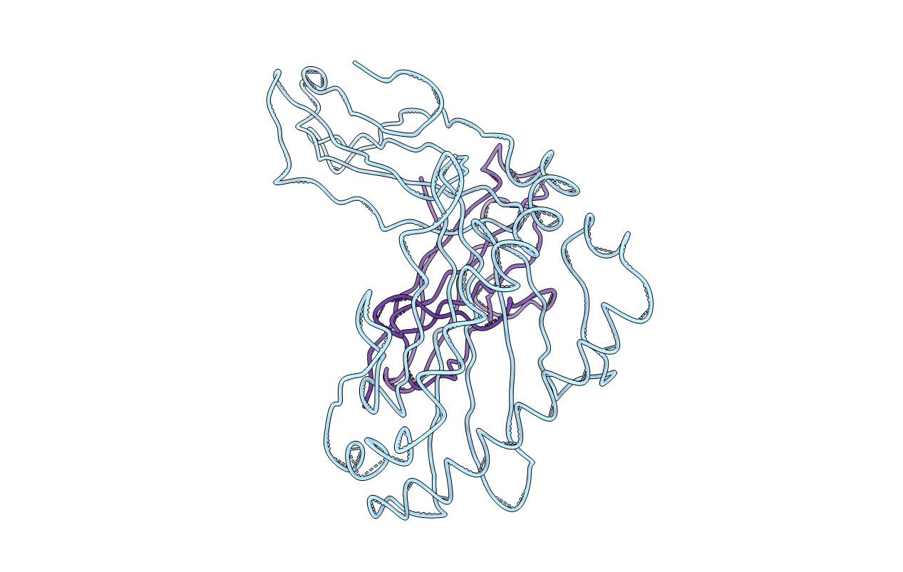 1HLA image