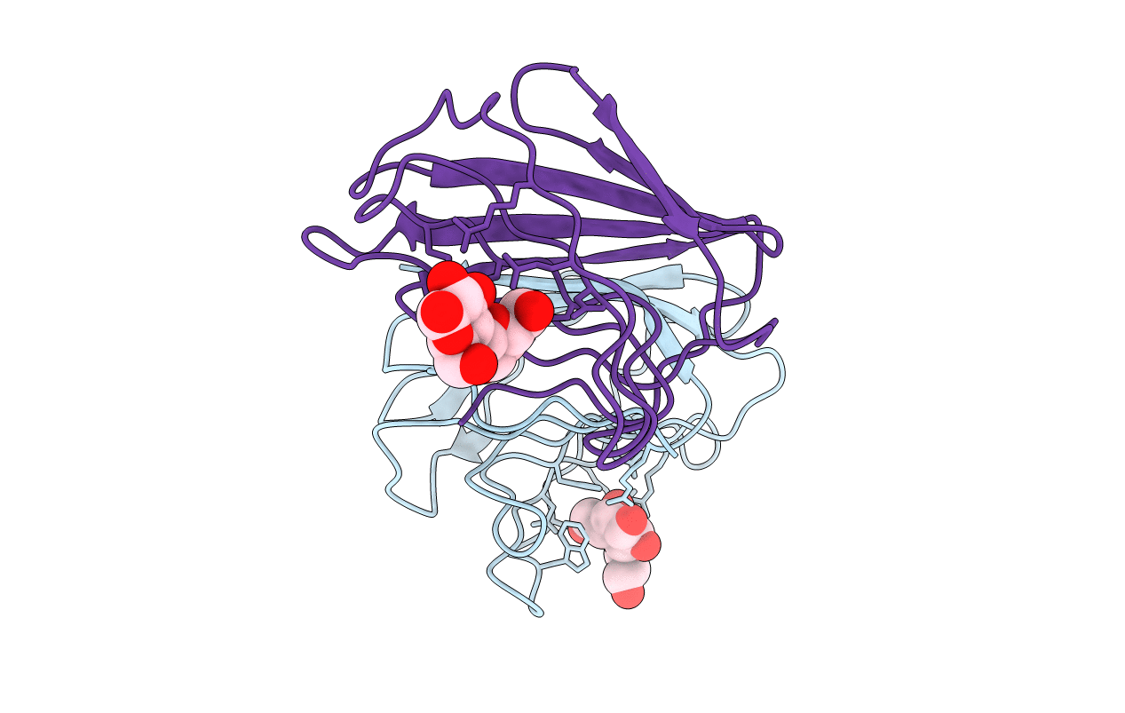 1HLC image