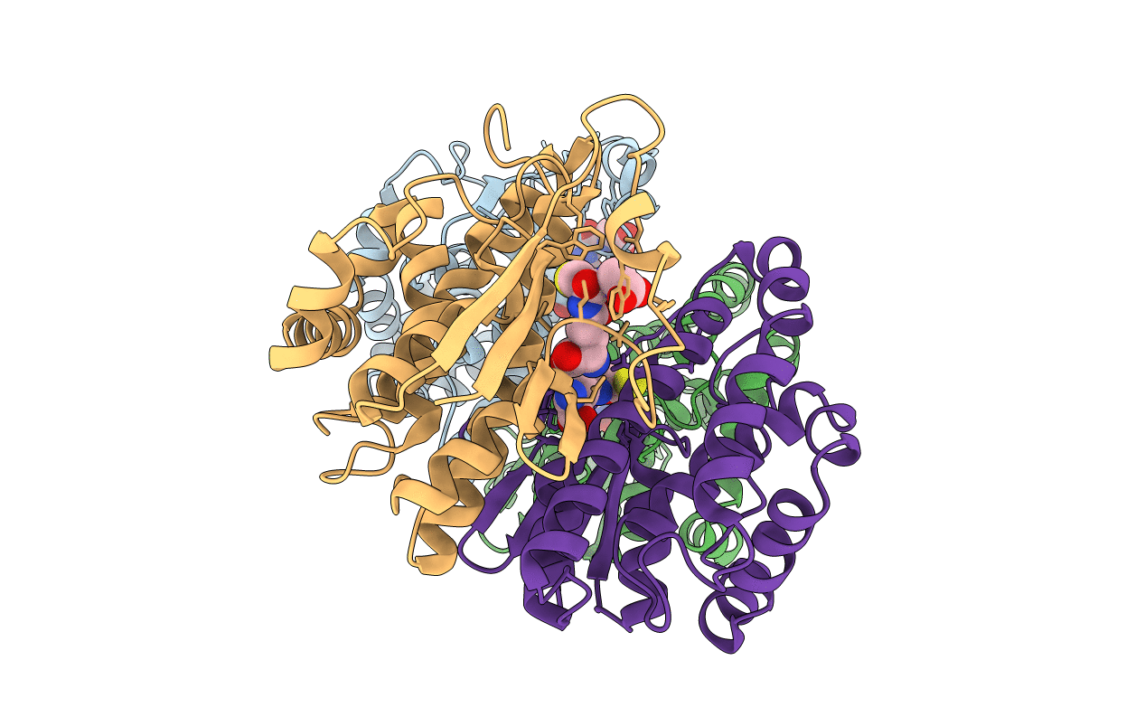 1HNC image