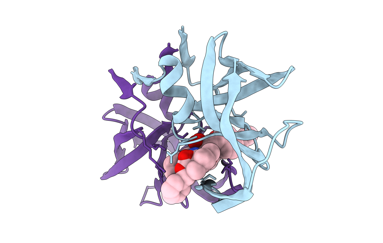 1HPS image
