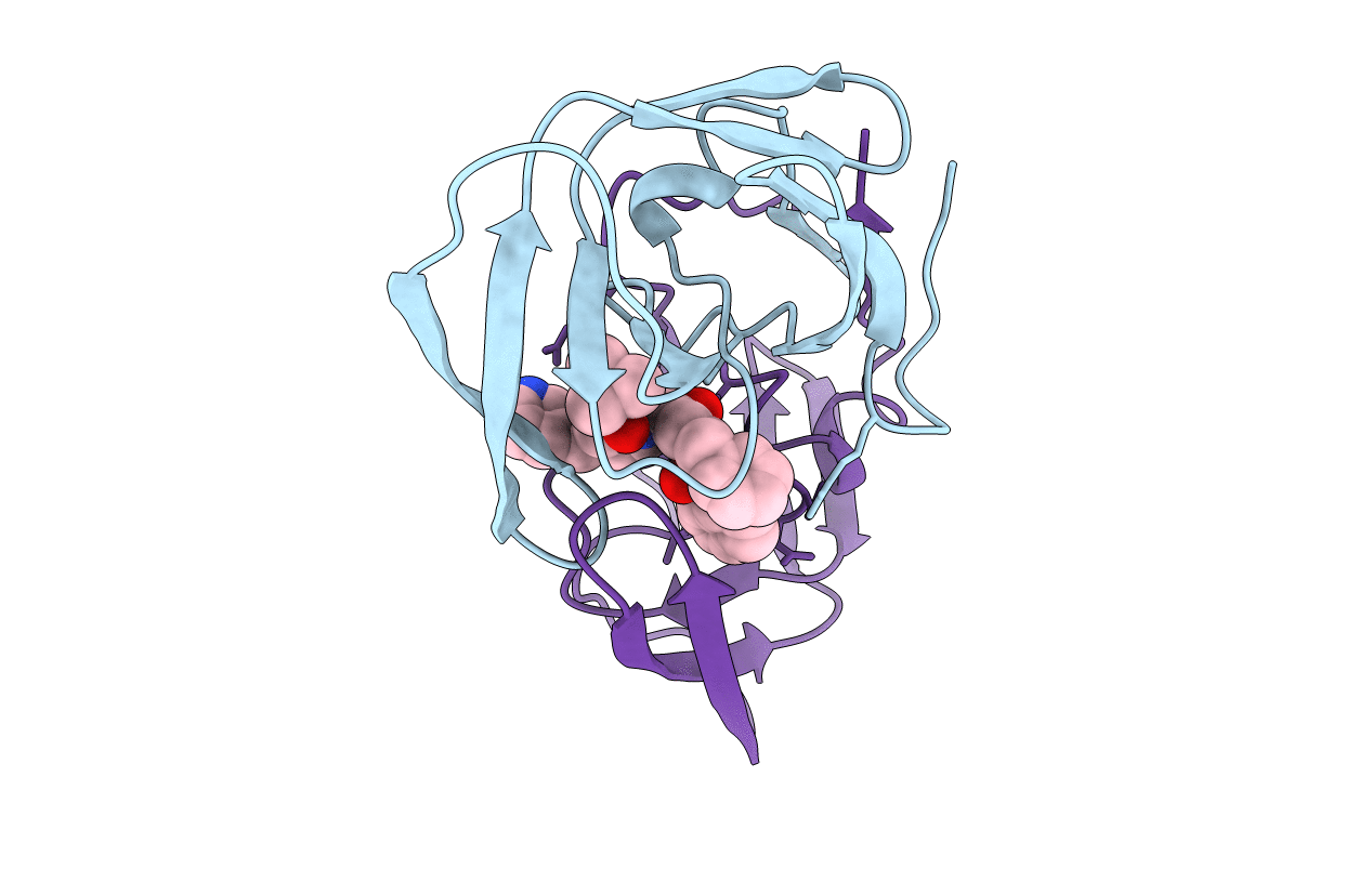 1HSG image