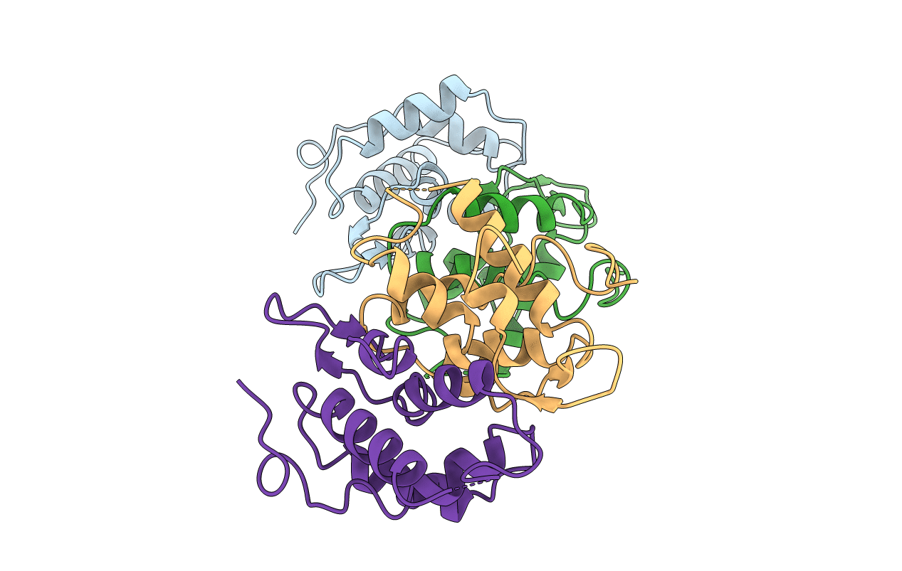 1HSS image