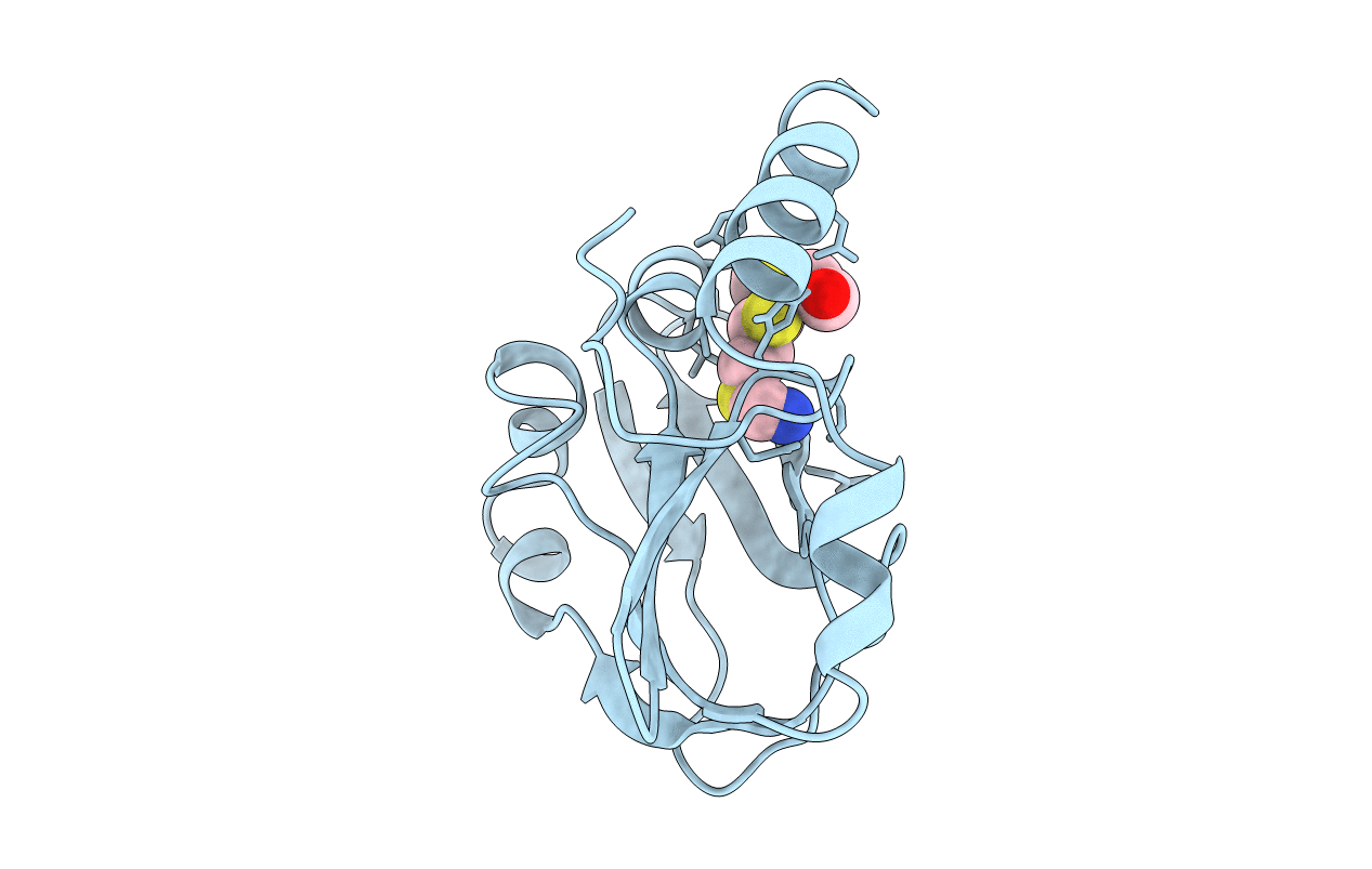 1HTP image