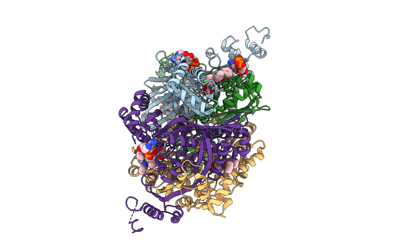 1HWK image