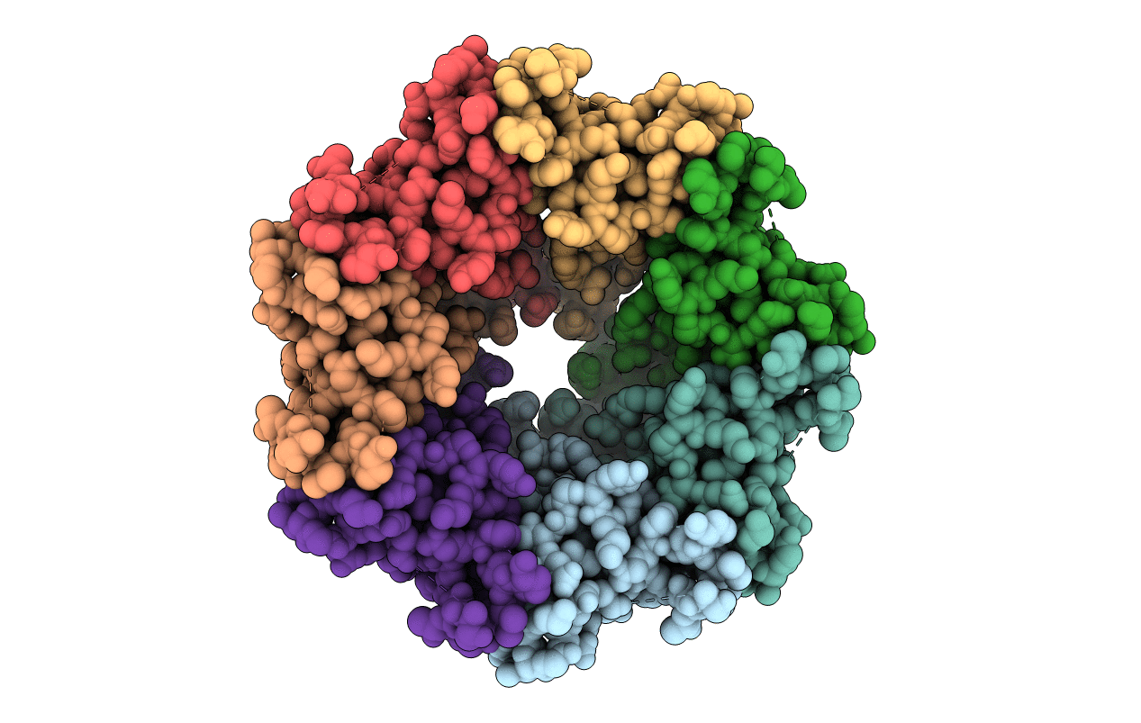 1HX5 image
