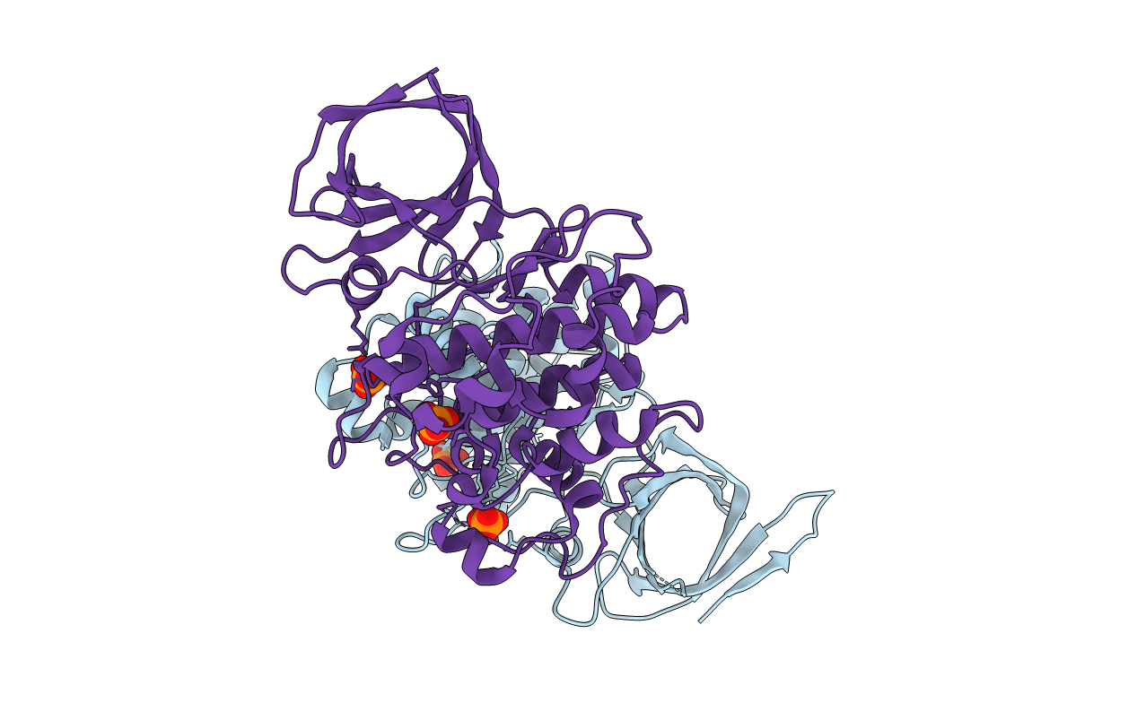 1I09 image